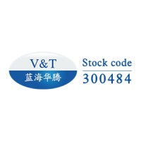Shenzhen V&T Technologies Co., Ltd. logo - Similar company to Ato.Com