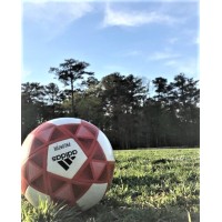 Sports - Venue - Entertainment logo - Similar company to Slg Impact