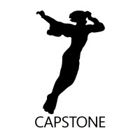 Capstone Global logo - Similar company to Cablemel