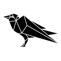 RavenApps logo - Similar company to Flowvo Ai