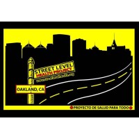 Street Level Health Project logo - Similar company to University Of San Francisco (Usf) College Of Arts And Sciences
