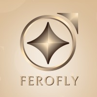 Ferofly logo - Similar company to Level Up Academy
