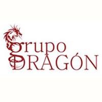 Grupo Dragón logo - Similar company to Le Stage S.A.