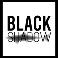 BLACK SHADOW HOLDINGS logo - Similar company to Dewitt Products Co
