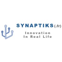 Synaptiks (.fr) logo - Similar company to M Nuclear