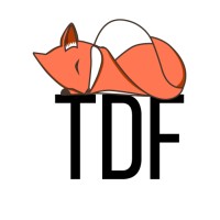 The Digital Fox logo - Similar company to Humanoid Maker