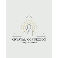 Crystal Connexion logo - Similar company to Wellways Sa