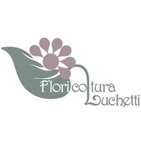 Floricoltura luchetti logo - Similar company to Piante Marconi