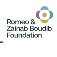 Romeo and Zainab Boudib Foundation (ROMZAIB) logo - Similar company to Bb Wesley Limited