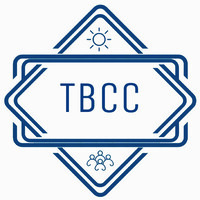 The Business Consultancy Crew logo - Similar company to Je Business Consultancy