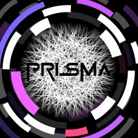 Prisma Collective logo - Similar company to Nomadbase