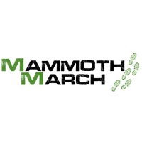 MammothMarch logo - Similar company to Neomir Data Quality