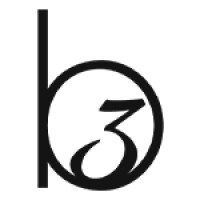 B3-Companies logo - Similar company to Sam Jidd Luxury