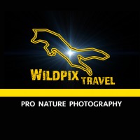 Wildpix Travel