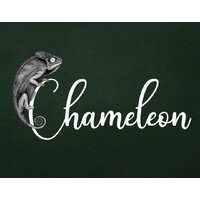 Chameleon logo - Similar company to Stay & Escape