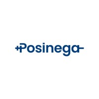 Posinega logo - Similar company to Digital Strategy Di Antonio Borzì