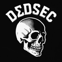 DΣDSEC logo - Similar company to Project X Vjti