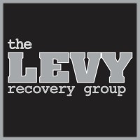 The Levy Recovery Group logo - Similar company to V & L Tool, Llc