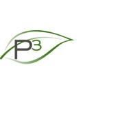 P3 Brokers Llc