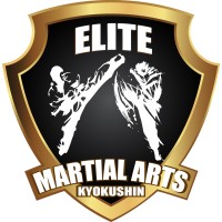 EMAR Dojo logo - Similar company to B4Branded