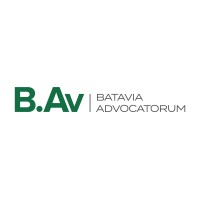 B.Av | Batavia Advocatorum logo - Similar company to Michafur Group & Co