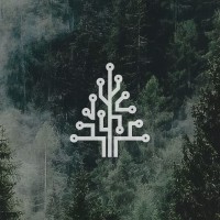 Digital Pine logo - Similar company to Offer1