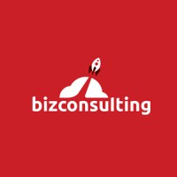 BIZCONSULTING SRL logo - Similar company to Flyip