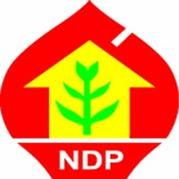 National Development Programme (NDP) logo - Similar company to Emertec Limited