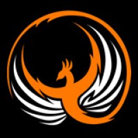 Phoenix3D Game Studio logo - Similar company to Art7