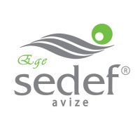 EGE SEDEF AYDINLATMA LTD logo - Similar company to Gidysoft Information Technologies