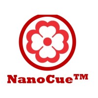 Nanocue Technology / ZOOM AFM logo - Similar company to Cutting Edge Cryogenics