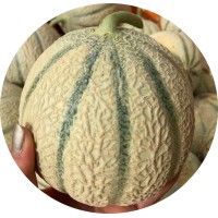 EARL LA TREILLE logo - Similar company to Agri Rh