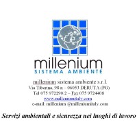 MILLENIUM Sistema Ambiente srl logo - Similar company to Falchi & Partners