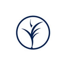 Studio Medico Perrone logo - Similar company to Studio Medico Dentistico Associato Dott. P. Massone E Dott.Ssa S. Pullerone