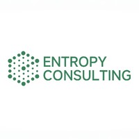 Entropy Consulting logo - Similar company to Entropy