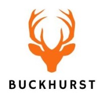 Buckhurst Capital Partners logo - Similar company to Ai Shading