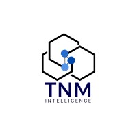 TNM Intelligence logo - Similar company to Buzzedmen Studio