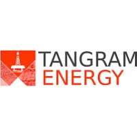Tangram Energy Ltd logo - Similar company to Anziboo