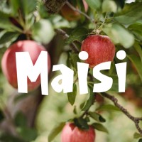 Maisi • მაისი logo - Similar company to Face 2 Face