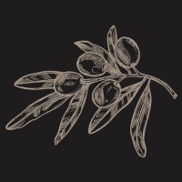 Oliva Olei logo - Similar company to Uek Group