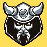 VikingSEO logo - Similar company to No Más Vueltas