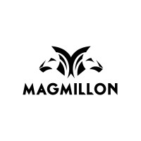Magmillon logo - Similar company to Sim Property Pl