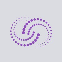 BorderlessNexus logo - Similar company to Clae Services