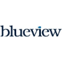 Blueview Group Plc