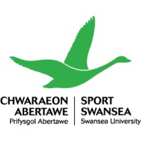 Sport Swansea logo - Similar company to Max Eco