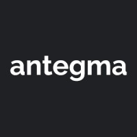 antegma GmbH logo - Similar company to Pma It Security