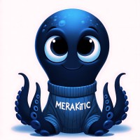 MerakiTIC logo - Similar company to Villa Clara Cafe