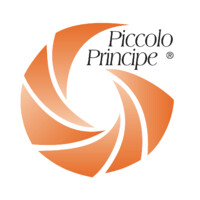 Piccolo Principe Società Cooperativa ONLUS logo - Similar company to Mf Ux/Ui Designer
