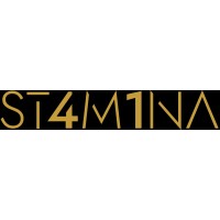 ST4M1NA logo - Similar company to Acorn Interactive Inc