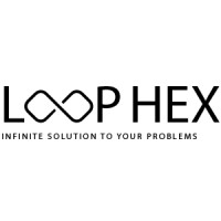 LoopHex logo - Similar company to Niche Techy
